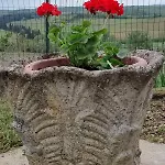 Apartamento Il Giardino Del Chianti *