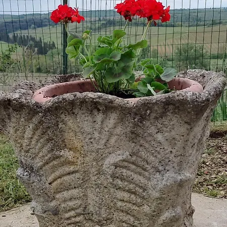 Appartamento Il Giardino Del Chianti *