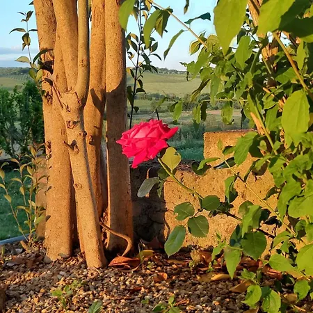 Il Giardino Del Chianti Διαμέρισμα *