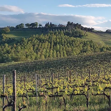 Il Giardino Del Chianti Appartamento